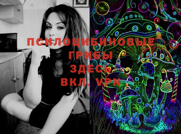 ECSTASY Анжеро-Судженск