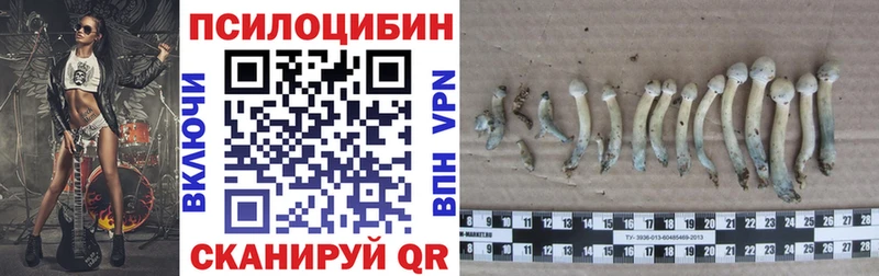 omg онион  что такое   Знаменск  Псилоцибиновые грибы прущие грибы 