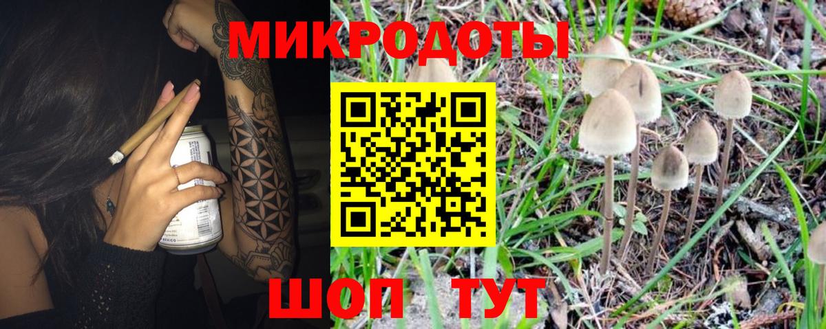 Псилоцибиновые грибы мицелий  Вход с VPN  Знаменск 
