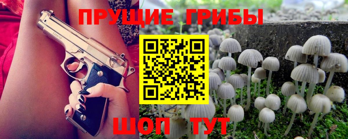 Псилоцибиновые грибы MAGIC MUSHROOMS Знаменск