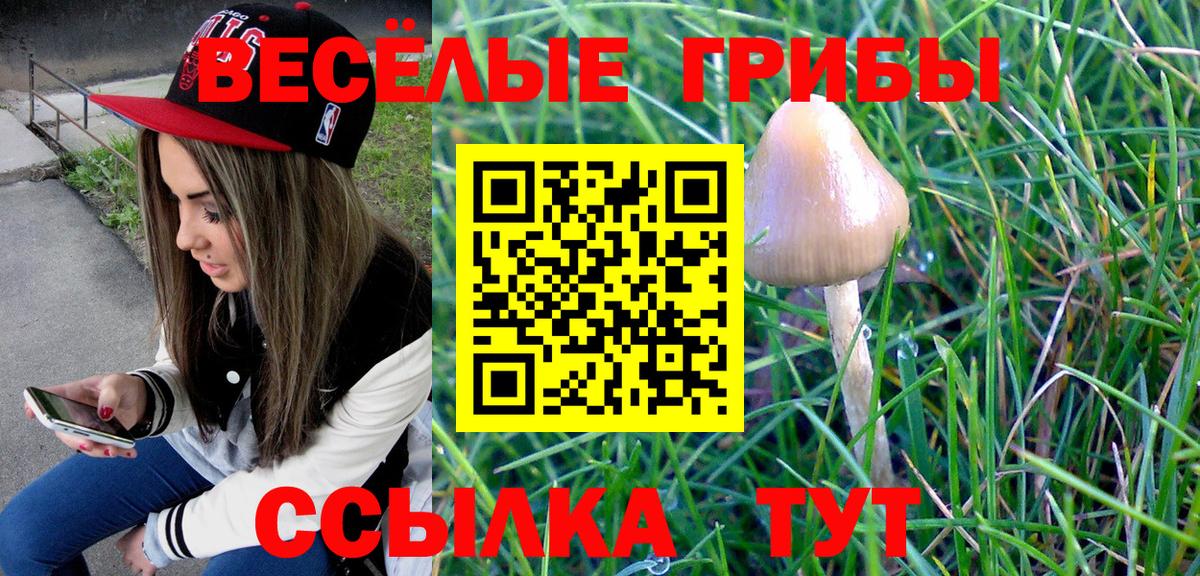 Галлюциногенные грибы мицелий Знаменск